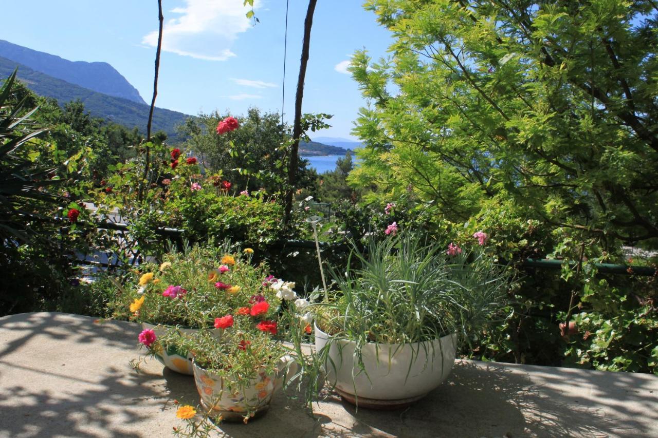 Apartments And Rooms With Parking Space Tucepi, Makarska - 6901 エクステリア 写真